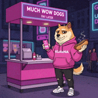 Buy Now Pay Later Hot Dog GIF by Doge Pound