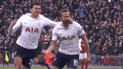 london football GIF by Tottenham Hotspur