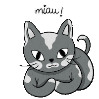 Gato Sticker