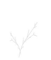 Fys Sticker by Forever Yours Skincare