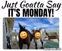 Cute Goats Mondays Stink GIF by Goatta Be Me Goats! Adventures of Java, Toffee, Pumpkin and Cookie!