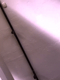 framebeta GIF
