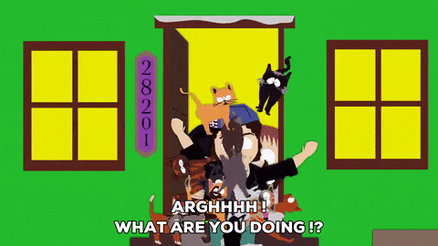 kitty attack GIF by South Park 