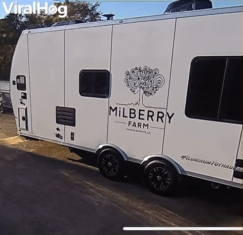 Confused Birds Fly Into Side Of Trailer GIF by ViralHog