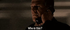 The Rock Movie GIF