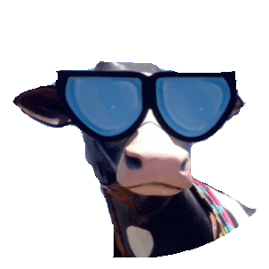 summer sunglasses STICKER by imoji