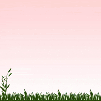 Internet Clouds GIF by RedPocket