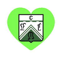 Ferrolove Sticker by FerroOficial