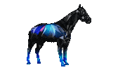 Animation 3D Sticker by ZEDRUN