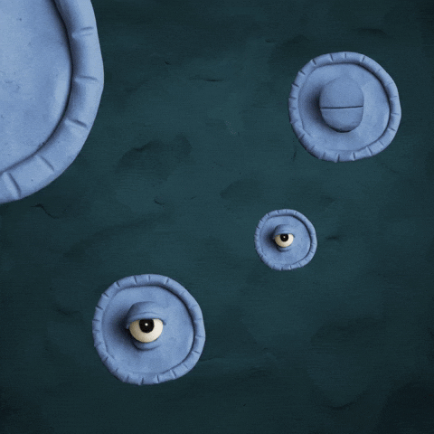 Ada Cardano GIF by Clay Nation