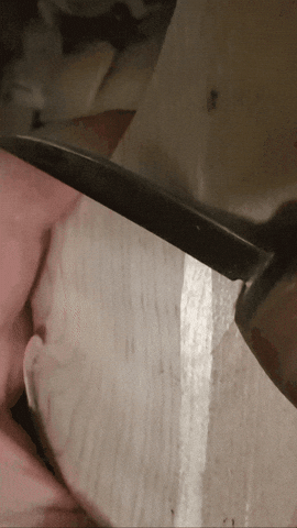 jeffreylyman  GIF