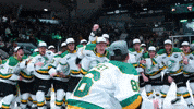 Hockey Champions GIF by London Knights