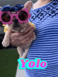 Yolo GIF by Miamiregalblues