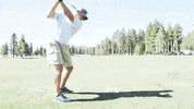 GIF by Wilson Golf