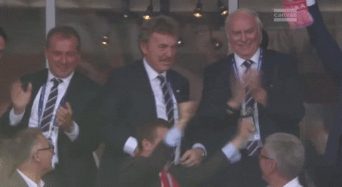 euro 2016 GIF by Sporza