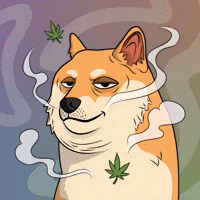 Shiba Inu Smoking GIF by Doge Pound