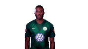 i love you kiss Sticker by VfL Wolfsburg