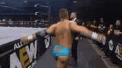 Hangman Page Wrestlingmatch GIF by All Elite Wrestling on TNT