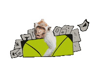 Monkey Mono Sticker by two mokey company