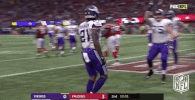 Minnesota Vikings Football GIF by NFL