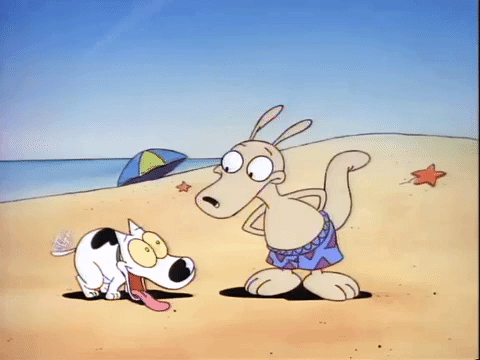 rockos modern life nicksplat GIF