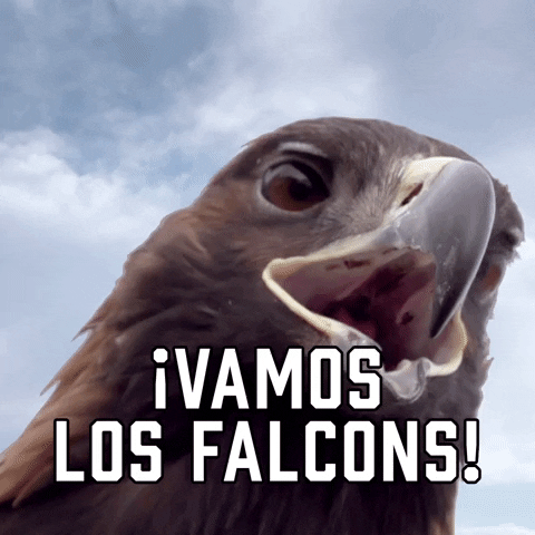 Atlanta Falcons Sport GIF by Sealed With A GIF