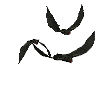 fly flying STICKER