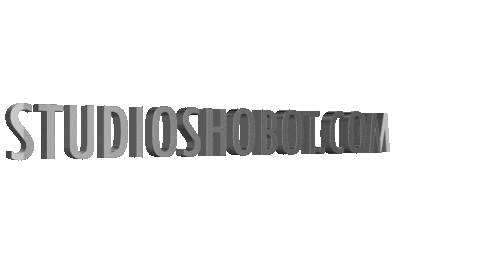 StudioShobot giphyupload 3d photographer silver Sticker