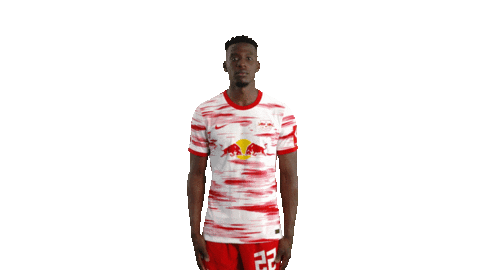 Big Eyes What Sticker by RB Leipzig