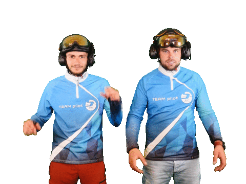 Wings Itv Sticker by Slinger Beplatingssystemen