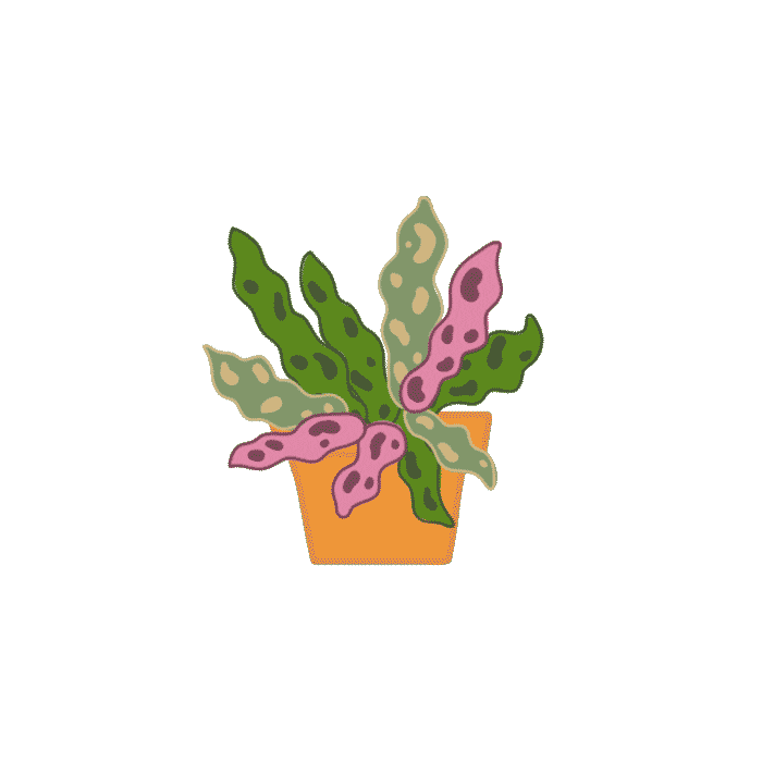 Plantober Sticker