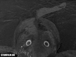 Big Eyes Help GIF by Det Danske Filminstitut