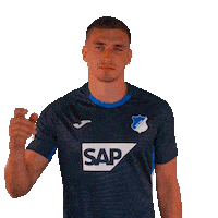 Grischa Prömel Sport Sticker by TSG Hoffenheim