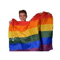 Pride Uva Sticker by University of Amsterdam