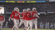 Football Nfl GIF by New England Patriots