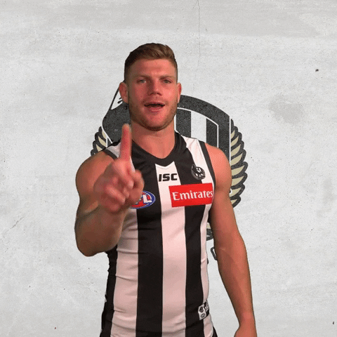 pies magpies GIF by CollingwoodFC