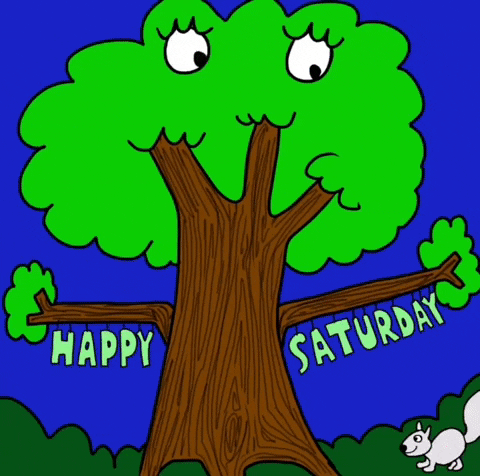 Mypenleaks tree saturday squirrel happy saturday GIF
