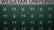 Iwuwvb24 GIF by iwusports