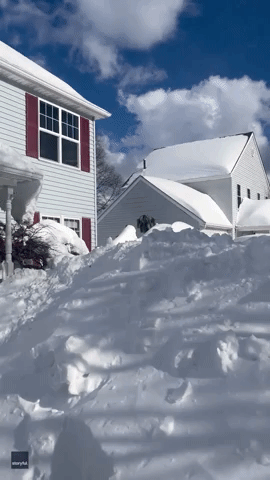 Bills Fans Have Fun in Snow Storm