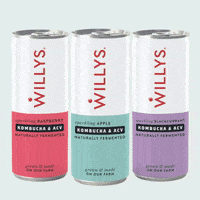 willysacv health wellness kombucha GIF