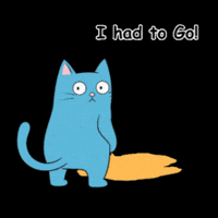 Cat Watching GIF