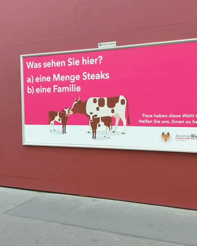 GIF by Animal Rights Switzerland