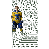 Aaslarsen Sticker by Storhamar Hockey