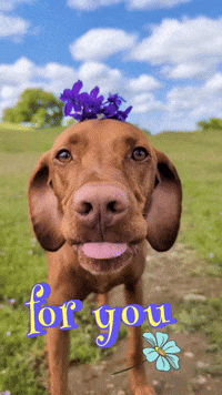 For You GIF
