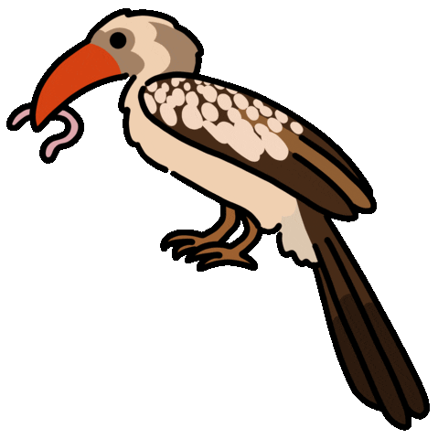 Bird Worm Sticker by EmzoticOfficial