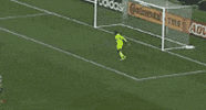 waving andre blake GIF by Philadelphia Union