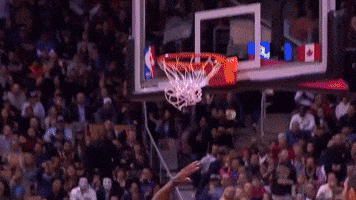 Toronto Raptors GIF by NBA
