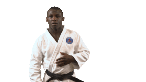 Martial Arts Fun Sticker by Paris Saint-Germain Judo