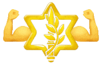 Israel Defense Forces Arms Sticker by IDF