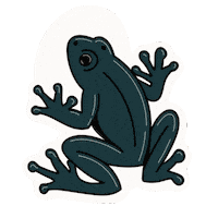 Puerto Rico Frog Sticker